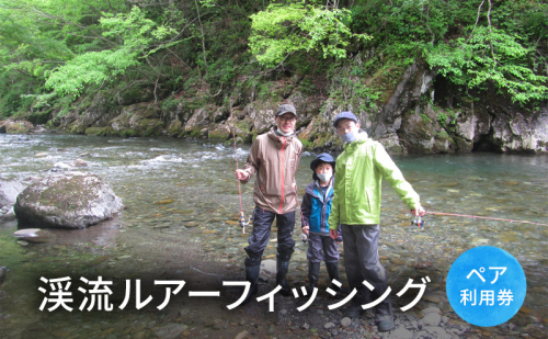 渓流ルアーフィッシング【体験チケット】体験 チケット 自然 川 釣り 北海道 日高町 1501298 - 北海道日高町