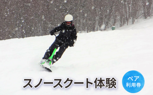 スノースクート体験【体験チケット】体験 チケット 自然 雪 北海道 日高町 1501302 - 北海道日高町