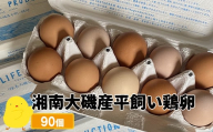 湘南大磯産平飼い鶏卵 90個＜2024年12月1日出荷開始～2025年6月30日出荷終了＞【 たまご 神奈川県 大磯町 】