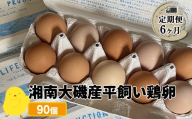 【定期便6ヶ月】 湘南大磯産平飼い鶏卵 90個＜2024年12月1日出荷開始　6ヶ月連続でお届け＞【 たまご 神奈川県 大磯町 】