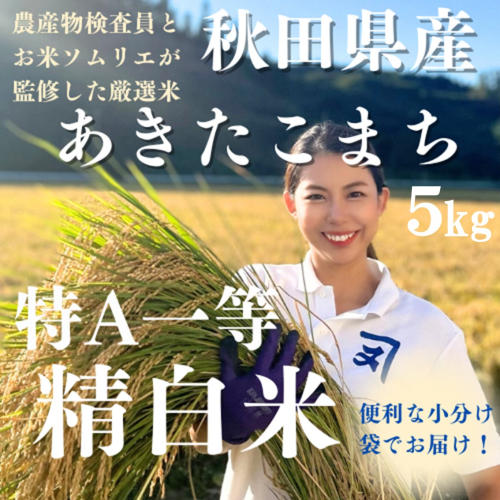 令和7年産 特Aランク厳選 秋田県産 あきたこまち 白米 5kg 精米 お米【(株)鈴木又五郎商店】[B6-2301] 1501483 - 秋田県湯沢市
