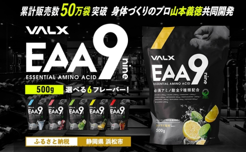 VALX EAA9 500g 【山本義徳 アンチドーピング 国産 パウダー サプリメント 健康食品  男性 女性  筋トレ BCAA オススメ バルクス 　浜松市 静岡県】 1501916 - 静岡県浜松市