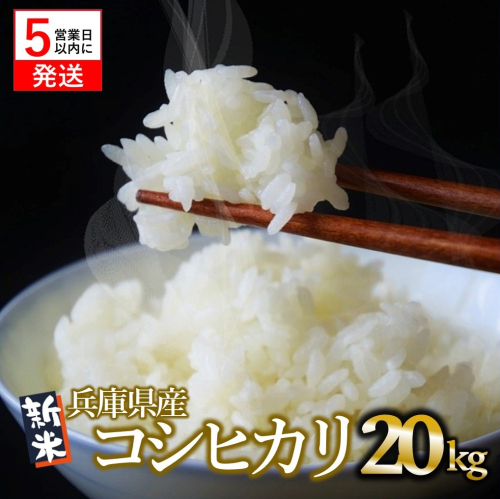 【令和６年産 コシヒカリ】白米20kg（10kg×2袋）2024年産【５営業日以内に発送】(37-37)米 お米 米20kg お米20kg 兵庫県産 こしひかり コシヒカリ 西脇市産 ５営業日以内発送 令和６年産 R６年産 2024年産 年内配送 年内発送 即納 精米 1501975 - 兵庫県西脇市