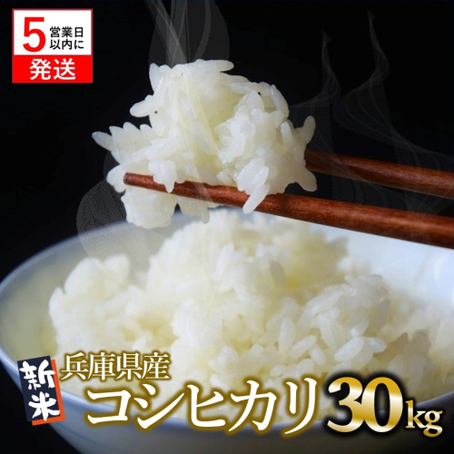 【令和６年産 コシヒカリ】白米30kg（10kg×3袋）2024年産【５営業日以内に発送】58-14 1501985 - 兵庫県西脇市