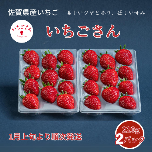 佐賀県産いちご いちごさん：B100-037 1502079 - 佐賀県佐賀市