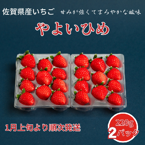 佐賀県産いちご やよいひめ：B100-038 1502081 - 佐賀県佐賀市