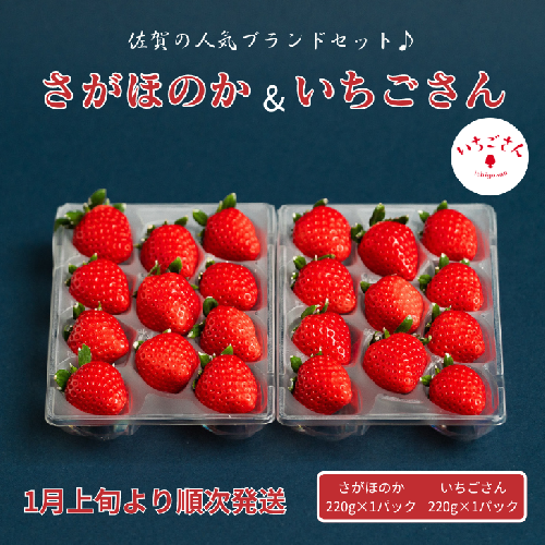 佐賀県産いちご さがほのか&いちごさんセット：B100-039 1502087 - 佐賀県佐賀市