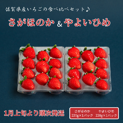 佐賀県産いちご さがほのか&やよいひめセット：B100-040 1502191 - 佐賀県佐賀市