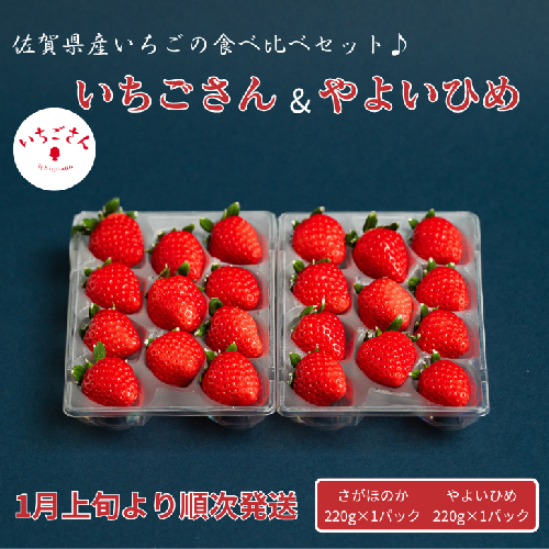 佐賀県産いちご いちごさん&やよいひめセット：B100-041 1502194 - 佐賀県佐賀市