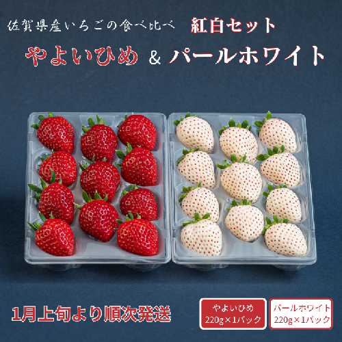 佐賀県産いちご やよいひめ&パールホワイト 紅白セット：B140-082 1502195 - 佐賀県佐賀市