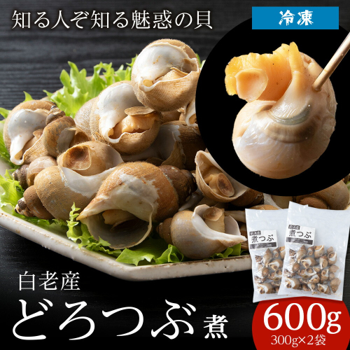 白老産 どろつぶ煮 600g (300g×2パック) つぶ ツブ つぶ貝 ツブ貝 1502205 - 北海道白老町