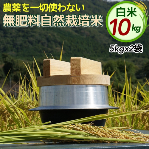 米 令和6年産 自然栽培米 にこまる ＜農薬を一切使わない無肥料栽培＞ 白米 10kg（5kg×2袋 精米したて） 《新米 京都丹波産 無農薬米栽培向き 厳選品種》 1502390 - 京都府亀岡市