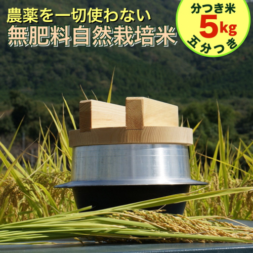 米 令和6年産【五分つき】自然栽培米 にこまる ＜農薬を一切使わない無肥料栽培＞ 分つき米5kg・精米したて 《新米 京都丹波産 無農薬米栽培向き 厳選品種》 ※2024年10月中旬頃より順次発送予定 1502391 - 京都府亀岡市