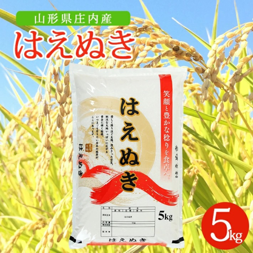 SA2397　令和6年産【精米】はえぬき　5kg×1袋 AK 1502576 - 山形県酒田市