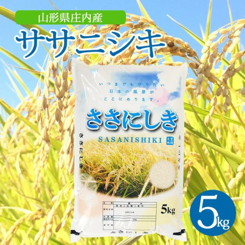 SA2398　令和6年産【精米】ササニシキ　5kg×1袋 AK 1502577 - 山形県酒田市