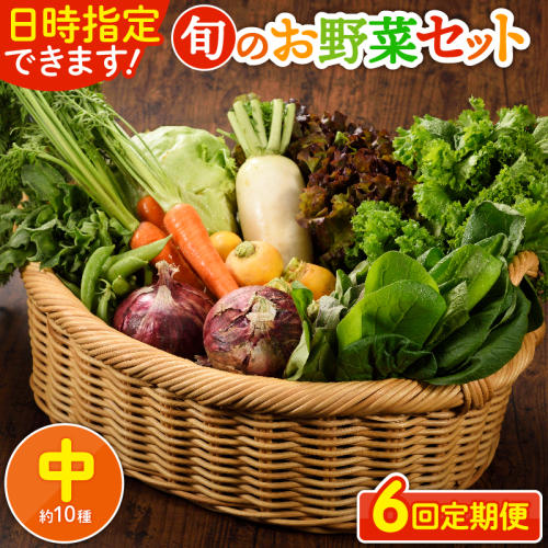 日時指定可能！旬のお野菜セット（サイズ中）【全６回定期便】 1502811 - 宮崎県綾町