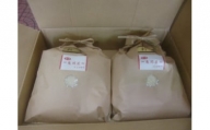 米 契約農家の亀岡米食べ比べセット（コシヒカリ5kg、キヌヒカリ5kg）◆ 京都丹波産 特Ａ