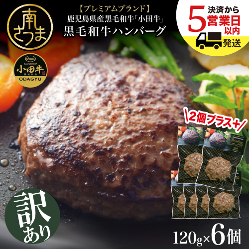 【10/20受付終了】 訳あり 鹿児島県産黒毛和牛「小田牛」 牛肉100％ ハンバーグステーキ 6個（120g×6） 牛肉 総菜 黒毛和牛 小田畜産 冷凍 南さつま市 1503347 - 鹿児島県南さつま市