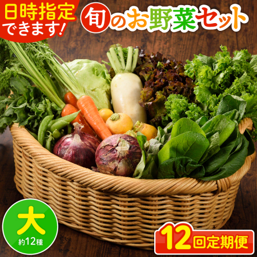 日時指定可能！旬のお野菜セット（サイズ大）【全12回定期便】 1503366 - 宮崎県綾町