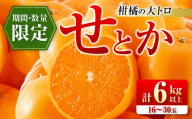 数量限定 柑橘の大トロ せとか 計6kg以上 先行予約 フルーツ 果物 くだもの 柑橘 みかん オレンジ 期間限定 2025 希少 フルーツサンド フルーツ大福 国産 食品 おすすめ デザート おやつ ギフト 贈り物 贈答 宮崎県 日南市 送料無料_FD7-24