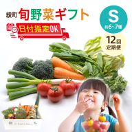 【12回定期便】綾町旬野菜ギフト〈 Sサイズ/約6-7種 〉1～2人分