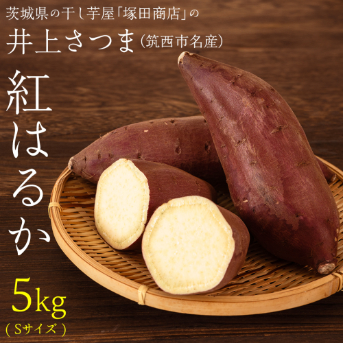 【 塚田商店 】 井上さつま 「 紅はるか 」 5kg ( Sサイズ ) 新物 ブランド芋 茨城県産 筑西市産 さつまいも サツマイモ いも 芋 イモ [BD035ci] 1503478 - 茨城県筑西市