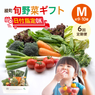 【6回定期便】綾町旬野菜ギフト〈 Mサイズ/約9-10種 〉2～3人分