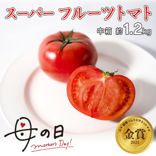 【 母の日 メッセージカード 付 】≪5月5日～11日お届け ≫ スーパー フルーツトマト 中箱 約1.2kg×1箱 糖度9度以上 トマト とまと 野菜 [BC067sa] 1503513 - 茨城県桜川市