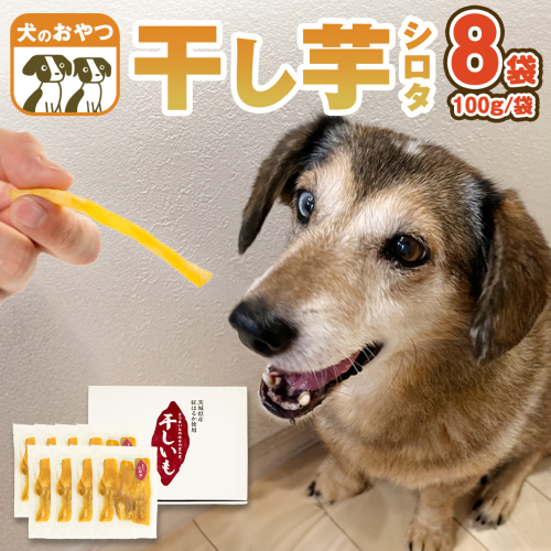 犬 の おやつ 干し芋 シロタ ( 100g × 8袋 ) 国産 手作り さつまいも 芋 お菓子 小分け 個包装 少量 栄養 食物繊維 噛みごたえ ドッグフード わんちゃん わんこ ペット ペットフード マツコの知らない世界 [EE017sa]	
 1503514 - 茨城県桜川市