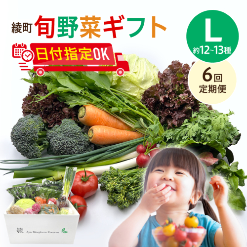 【6回定期便】綾町旬野菜ギフト〈 Lサイズ/約12-13種 〉4人以上分 1503602 - 宮崎県綾町