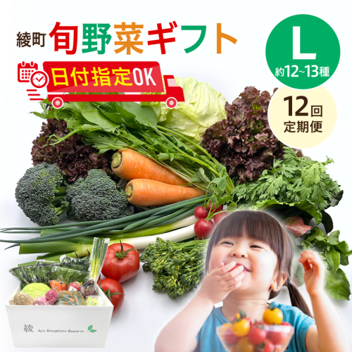 【12回定期便】綾町旬野菜ギフト〈 Lサイズ/約12-13種 〉4人以上分 1503606 - 宮崎県綾町