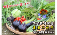【12回定期便】京都府・亀岡産 自然農法＆農薬を使わずに育てた体も心も喜ぶ、かたもとオーガニックファームの季節のお野菜セット 毎回10～20品目　※離島への発送不可