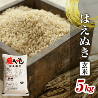 SA2393　令和6年産【玄米】はえぬき　5kg×1袋　 YA