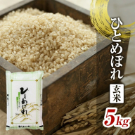 SA2394　令和6年産【玄米】ひとめぼれ　5kg×1袋　 YA