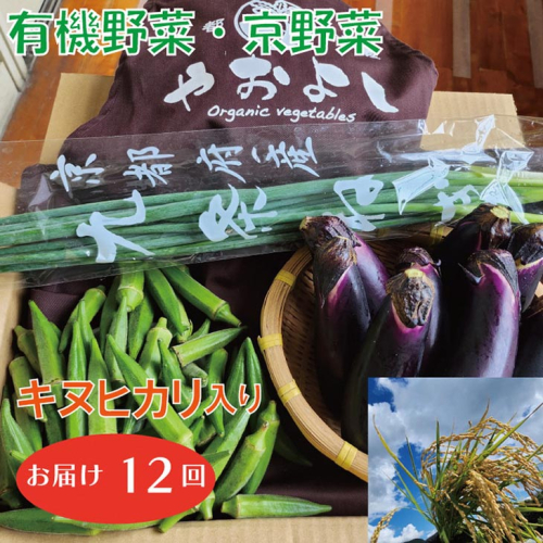 12回定期便】＜有機野菜 京野菜の京都やおよし＞野菜詰め合わせ &