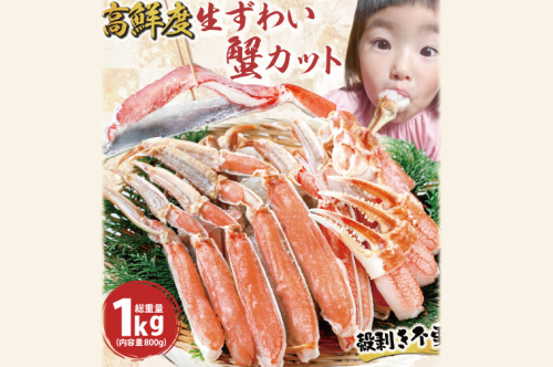 カット済 生本ずわいがに 総重量1kg(内容量800g) < 数量限定 >＜ 生食OK ＞ < 工場直送 > 生ずわいがに ずわいがに ずわい蟹 生冷ずわいがに 生ずわい ずわい かに かに足 蟹足 足 かに脚 蟹脚 脚 かに肩 蟹肩 肩 かに爪 蟹爪 爪 かに鍋 蟹鍋 かにしゃぶ 蟹しゃぶ かに刺し 刺身 焼き蟹 焼きガニ 魚介 海鮮 1503800 - 茨城県大洗町