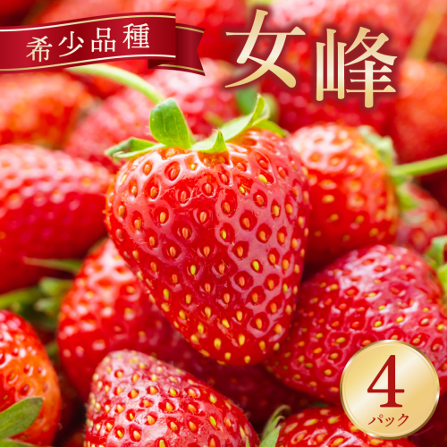 京都亀岡産 雫の里農園 いちご【女峰】4パック ※化学肥料・農薬極力不使用≪苺 イチゴ フルーツ≫ ※6月まで順次発送 150389 - 京都府亀岡市