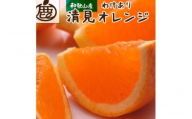 [2月より発送]家庭用 清見オレンジ5.5kg+165g(傷み補償分)[光センサー食頃出荷][樹上完熟きよみオレンジ・清見タンゴール・清美][わけあり・訳あり] ※北海道・沖縄・離島への配送不可[ikd166]