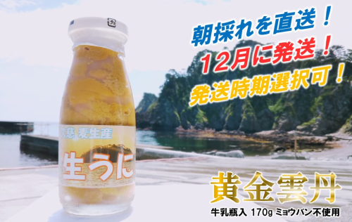 ★12月発送！★発送時期選択可！ 久慈市麦生産 畜養 生うに「黄金雲丹」170g（牛乳瓶入り 生うに） 1504547 - 岩手県久慈市