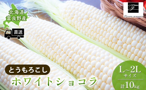 【2025年8月～発送】北海道 富良野市 とうもろこし ホワイトショコラ 白色 L～2L サイズ 計10kg ふらの 野菜 トウモロコシ とうきび 数量限定 (フラノプレゼンツ) 1504613 - 北海道富良野市