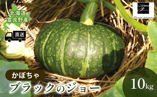 【2025年9月～発送】北海道 富良野市 かぼちゃ ブラックのジョー 10kg ふらの 野菜 カボチャ 数量限定 (フラノプレゼンツ) 1504614 - 北海道富良野市