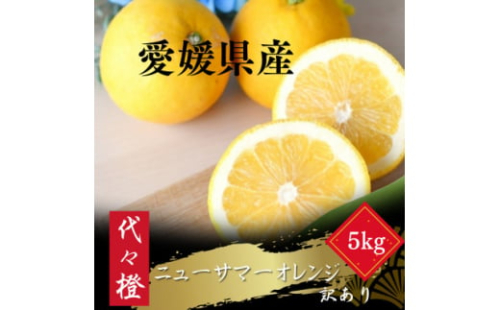 ＜初夏の味＞＜訳あり＞ニューサマーオレンジ 5kg＜C83-18＞【1549108】