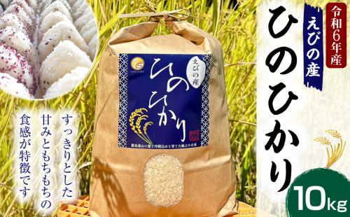 【令和６年度】新米 えびの産 ヒノヒカリ 10kg 米 お米 白米 ごはん 精米 おこめ ひのひかり 米 おにぎり お弁当 お取り寄せ 宮崎県 えびの市 送料無料 冷めても美味しい 1505279 - 宮崎県えびの市