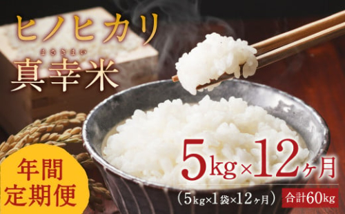 【定期便】新米 限定品 えびの産 ヒノヒカリ 真幸米(まさきまい) 5kg×12ヶ月 定期便 60kg 米 お米 コメ こめ ひのひかり おにぎり お弁当 送料無料 冷めても美味しい 1505319 - 宮崎県えびの市