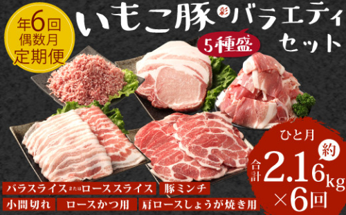 【訳あり】豚肉【定期便年6回/偶数月発送】いもこ豚(彩)  5種盛り バラエティセット 2.16kg バラスライス バラ 小間切れ 細切れ こま切れ ロース 肩ロース しゃぶしゃぶ スライス 豚ミンチ 豚肉 いもこ豚 セット 詰合せ 生姜焼き 焼肉 サムギョプサル ポッサム 豚丼 とんかつ 鉄板 ホットプレート パーティー 冷凍 宮崎県産 九州産 送料無料 1505323 - 宮崎県えびの市