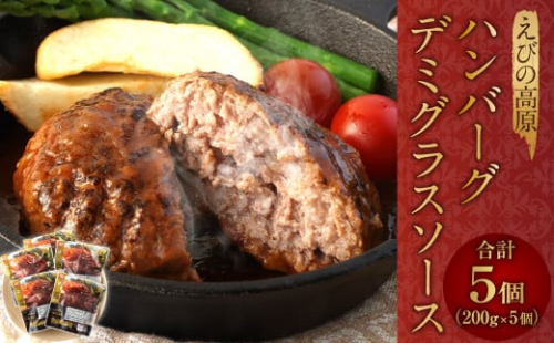 えびの高原 ハンバーグ デミグラスソース 5パック 合計1kg 200g×5パック お肉 肉 惣菜 温めるだけ パック 成長ホルモン不使用 レンジ対応 送料無料
 1505325 - 宮崎県えびの市