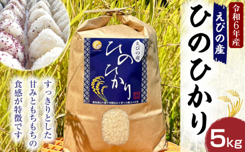 【令和６年度】新米 えびの産 ヒノヒカリ 5kg 米 お米 白米 ごはん 精米 おこめ ひのひかり おにぎり お弁当 お取り寄せ 冷めても美味しい 甘み もちもち 宮崎県 えびの市 自然の恵み 送料無料【11月上旬より順次発送】
 1505337 - 宮崎県えびの市