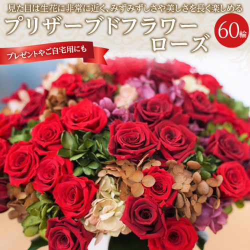 【日付指定可能】プリザーブドフラワーローズ60輪のアレンジメント  薔薇 バラ ギフト プレゼント ラッピング 産地直送 インテリア お花 フラワー  ボリューム満点 H193-016 1505375 - 愛知県碧南市