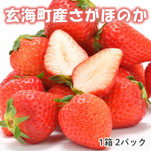 ★予約受付★平川いちご農園 佐賀県玄海町産いちご「さがほのか」2025年1月～4月順次配送 1505539 - 佐賀県玄海町