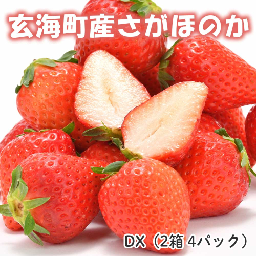 ★予約受付★平川いちご農園 佐賀県玄海町産いちご「さがほのかDX」2025年1月～4月順次配送 1505540 - 佐賀県玄海町